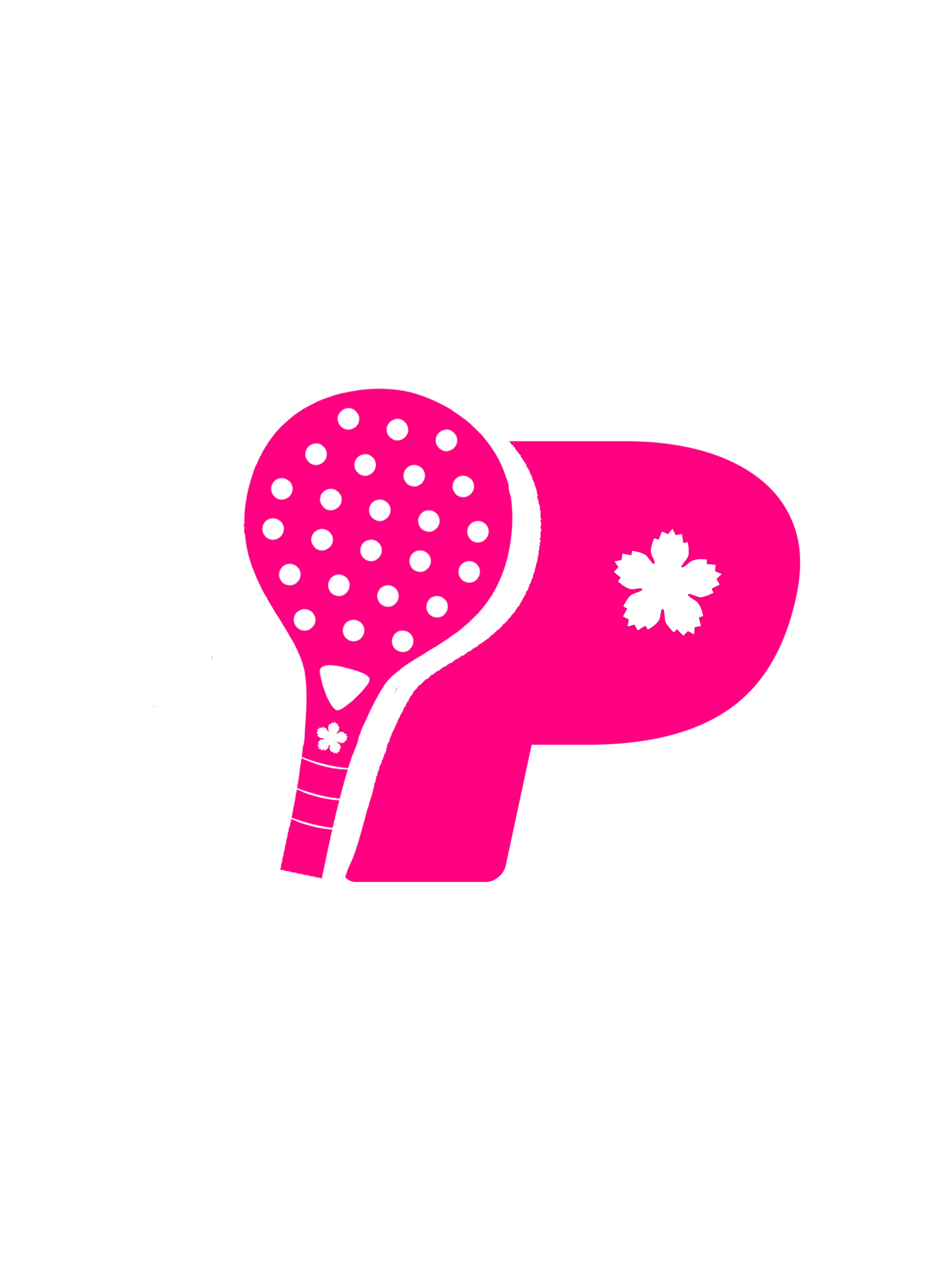 Vechtdal Padel